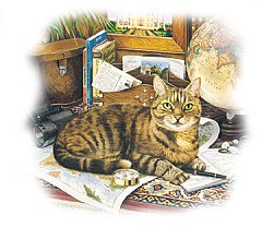 Gatto 1